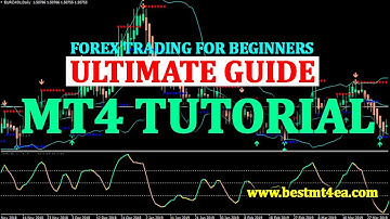 MetaTrader4 - The Complete Guide to MT4 - Forex Trading for Beginners | What is forex trading?