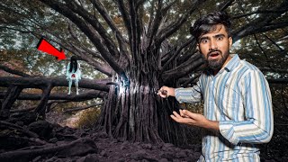 Visiting Most Haunted Tree At Night | आधी रात को इस पेड़ पर चुड़ैल दिखी - बाल बाल बचे !!!