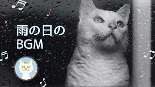 [BGM of Rain Sound]It's raining, but the cat is fine today