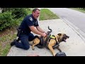 Police vs Wild Animals | Bodycam Captures Everything