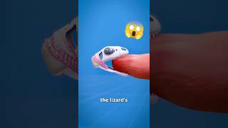 Maine Internet Ka Useful hack try kiya part 68 #shorts #viral #hack