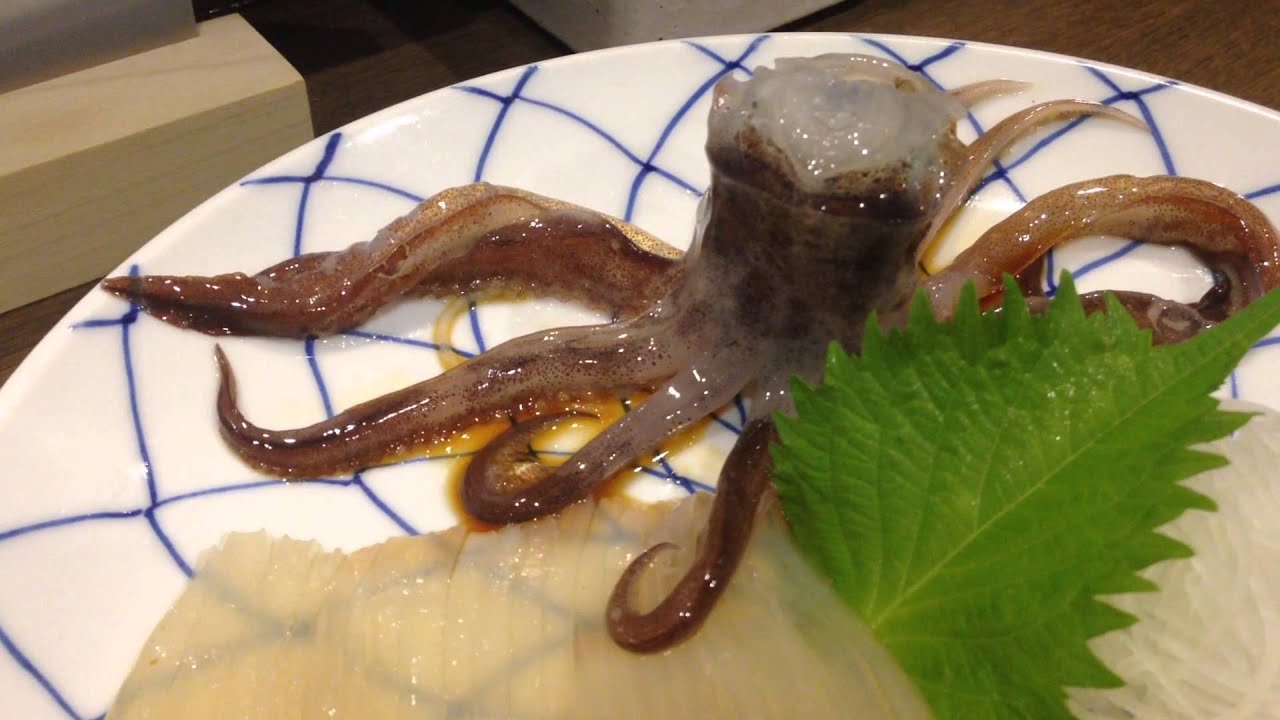 函館名物 動くイカ刺し Youtube