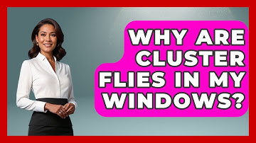 Why Are Cluster Flies In My Windows? - Insects and Invaders