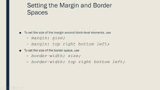 CSS Padding and Margins