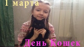 ВЛОГ: День Кошек, Fix Price подарки для кошки, Ника попробовала корм // Видео для детей ВЛОГ: День Кошек, Fix Price подарки для кошки, Ника попробовала корм // Видео для детей