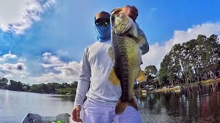 Large Bass on the Savage Gear Shine Glide