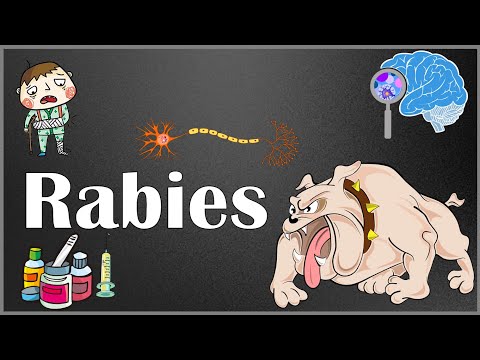 Rabies : Pathophysiology, Signs & Symptoms, Diagnosis & Management (Pre & post exposure prophylaxis)