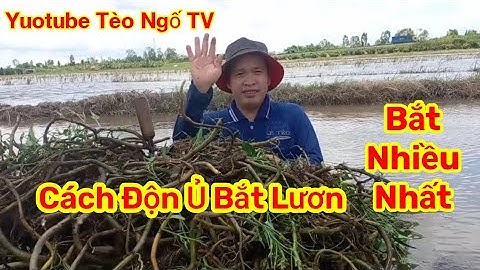 Cách Độn Ủ Bắt Lươn/Chi Tiếc Nhất/Tèo Ngố TV. #145.