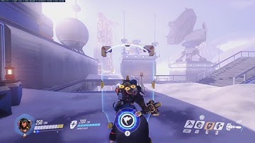Brigitte Shield Bug