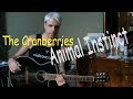 Animal instinct - tutorial chitarra - the cranberries