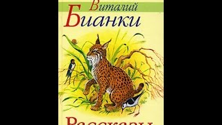 Сорока Галя. Бианки В.В. Аудиорассказ