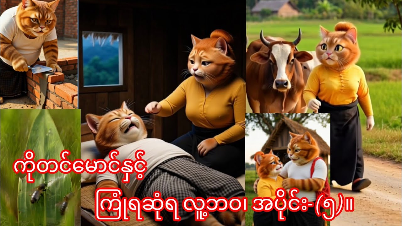 ကိုတင်မောင်နှင့် ကြံရဆုံရ လူ့ဘ၀၊ အပိုင်း-(၅)