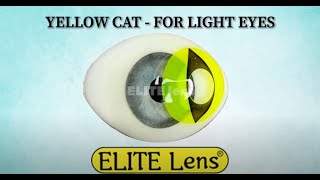 Yellow Contacts For Light Eyes- Yellow Cat - ELITE lens®