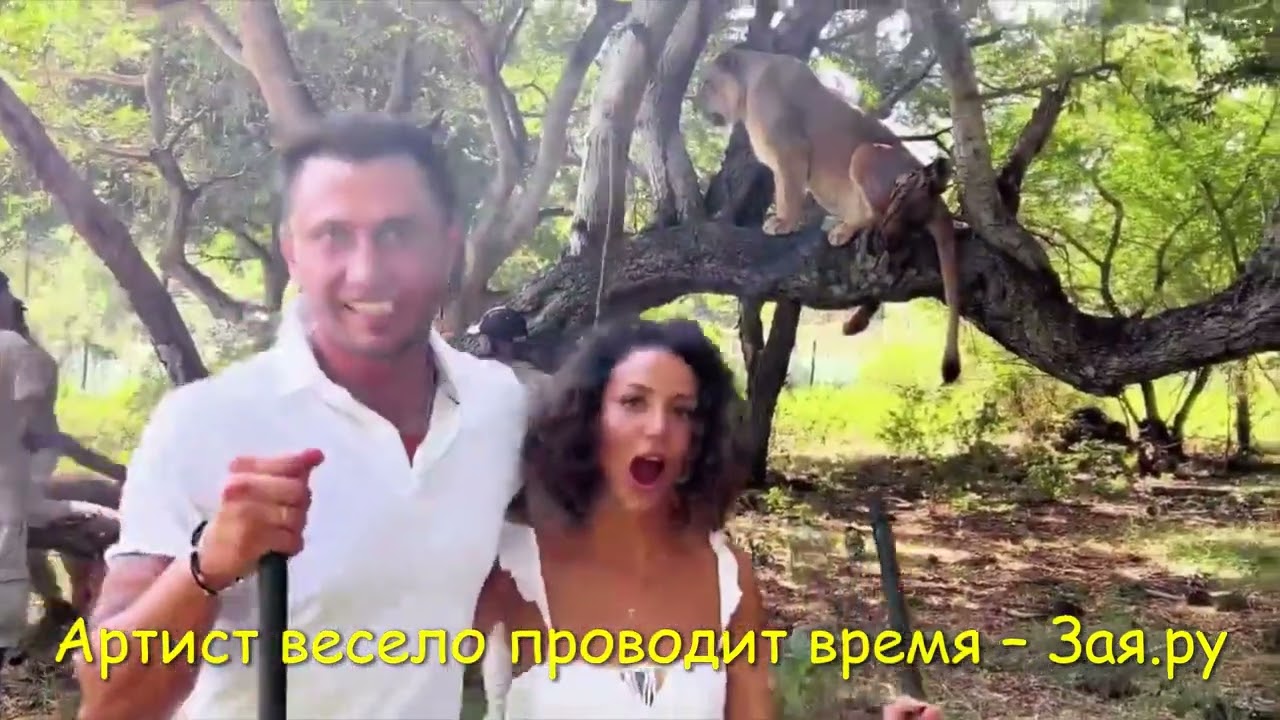 Павел Прилучный с подружкой развлекается со львами на Маврикие