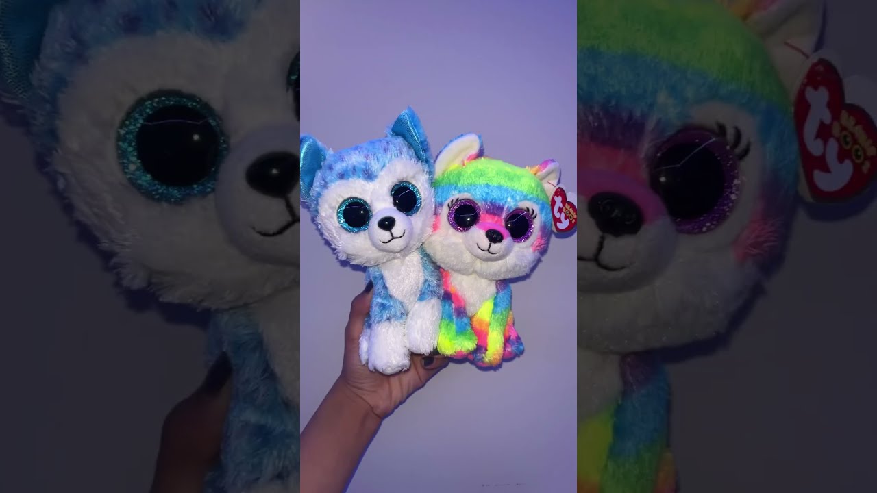 Updated Beanie Boo Collection Beanieboos