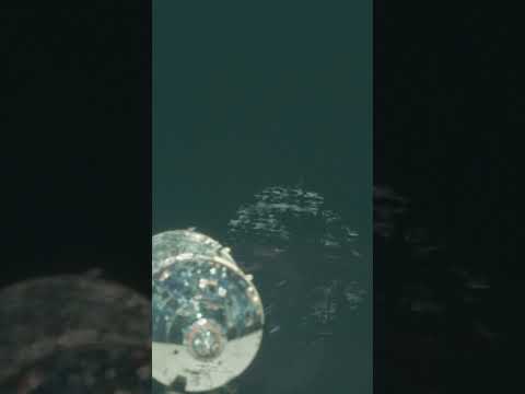 Converted Unseen Apollo 10 Pictures In 4K Part 1 1