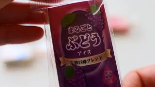 サカモト　アイスバー消しゴム＆ギター消しゴム　Japanese erasers collection