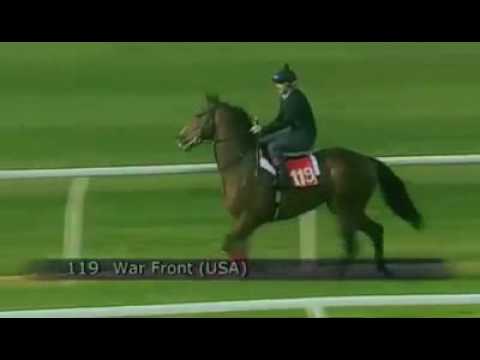 Самый быстрый лошадь в мире