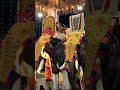 ELEPHANTS IN KERALA | VIRAL ELEPHANTS IN INDIA | TEMPLE ELEPHANTS KERALA | FAMOUS ELEPHANTS KERALA