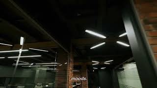 Ceiling LED Linear Lights: The Key to Modern and Efficient Lighting