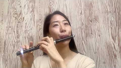 쁘띠피리(petitpiri)/매일연습D+62 Stravinsky Firebird piccolo