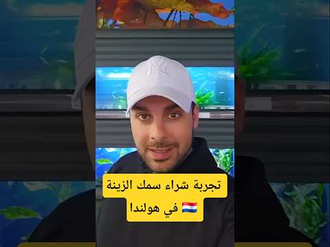 تجربة شراء سمك الزينة بهولندا معقد جدا