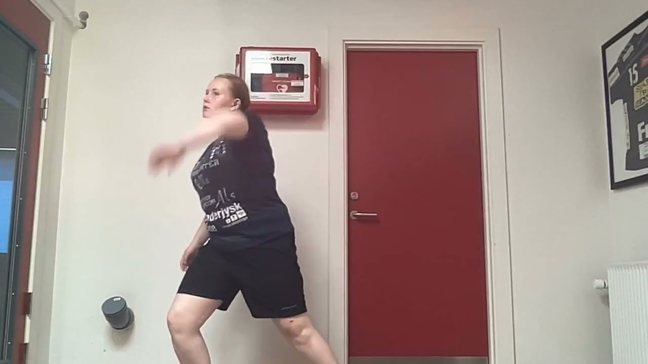 Kigger på fugle- rytmedans