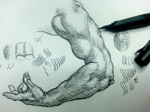 Pen & Ink Drawing Tips | How add crosshatching to an arm - YouTube