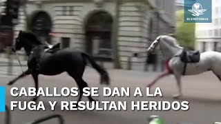 Caos por caballos sueltos en Londres