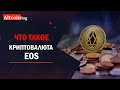 Что такое криптовалюта EOS. Обзор перспектив в 2021 году