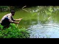 Fishing Video pond fishing in Bara Chaulakati