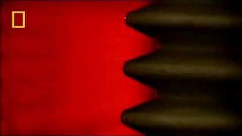 Mobile Phone Struck by Lightning | National Geographic UK