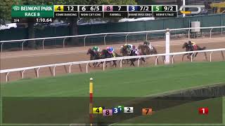 Wow Cat - 2018 - The Beldame Stakes