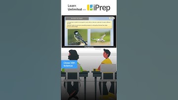 Evolution by Stages | Heredity and Evolution | Science | Class 10 | iPrep