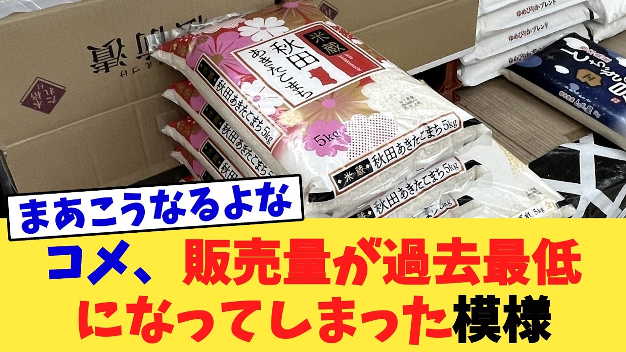コメ、販売量が過去最低になってしまった模様