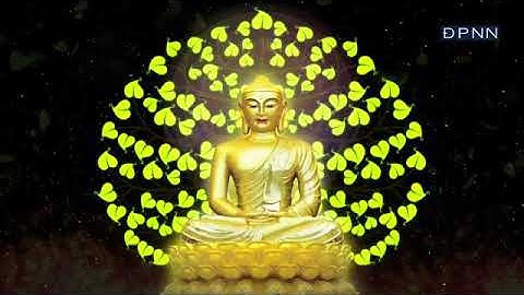 🛑TRỰC TIẾP Tăng đoàn chùa Giác Ngộ lạy Vạn Phật trong mùa An Cư Kiết Hạ  Ngày07 08 2021