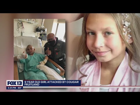 9-year-old recovering after cougar attack | FOX 13 Seattle