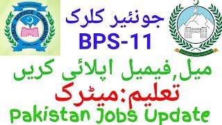Junior Clerk Job In KPK | Pakistan Jobs Update
