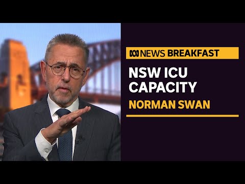 Norman Swan on the NSW health system's ability to cope with surging COVID cases | ABC News