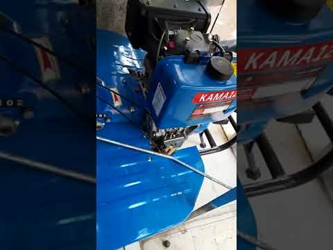 عزاقة ١٢ حصان كامة 