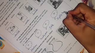 اختبار الفصل الأول لغة إنجليزية سنة أولى متوسط.