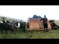 Shifting sheep hut || Himalayan Shepherd Lifestyle of Nepal