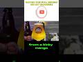 This Mango Beer Will PUNCH Your Taste Buds!