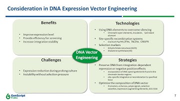 Robust Stable Cell Line Platform for Biologics Development