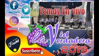 Ministerio Musical LA VID VERDADERA N.G 2019