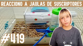 REACCIONO a JAULAS para HAMSTER de SUSCRIPTORES by Pequeños Roedores 761 views 1 month ago 15 minutes