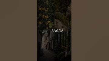 اللَّهُ الَّذِي خَلَقَكُمْ ثُمَّ رَزَقَكُمْ ||تلاوة خاشعة جميلة بصوت #ياسر_الدوسري