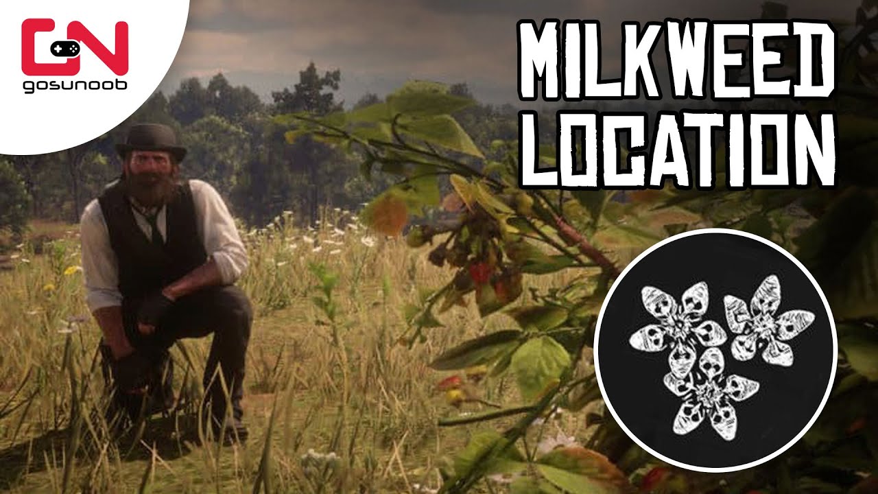 Red dead redemption 2 milkweed location