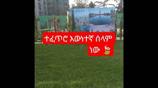 Green Area Vibes 🌿Nature Is Amazing 💚Addis Green Beauty 🌳Peaceful Green Area 🍃Fresh Air &amp; Good