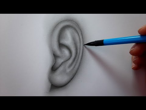 Kulak çizimi - Ear drawing